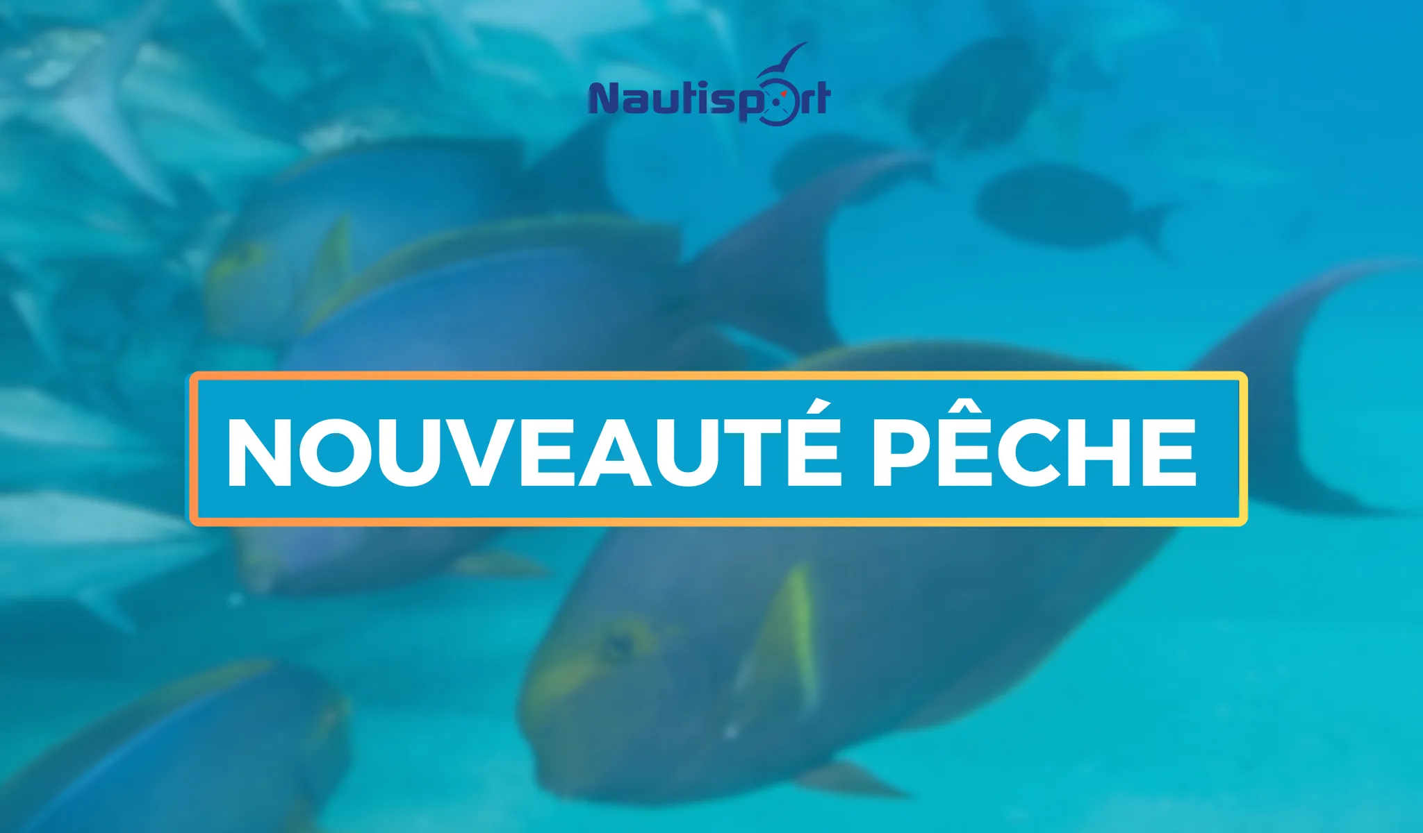 nouveauté pêche